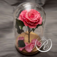 Роза ⌀10 в колбе розовая
